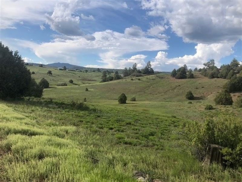 Land Chama West Northern New Farm For Sale In Chama Rio Arriba