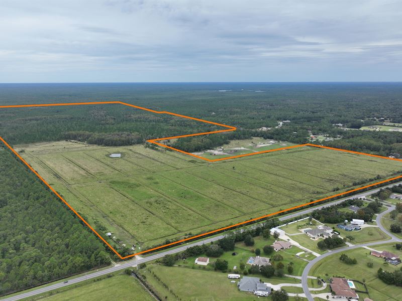 Tomoka Farms Road Acres Farm For Sale In Florida Farmflip