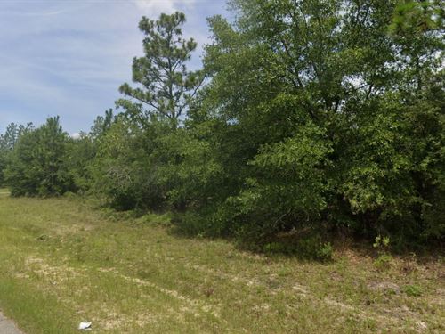 Florida Farms For Sale Farmflip