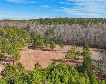 Hunting, Recreational, and Legacy Property in Alabama