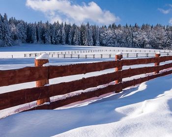 Pulse: Land, Guns, Ammo Rank as Americans’ Most Important Investment