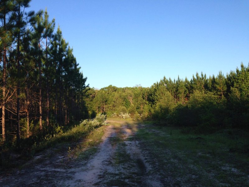 Satilla River Island Reserve, Farm for Sale in Georgia, #100007 : FARMFLIP