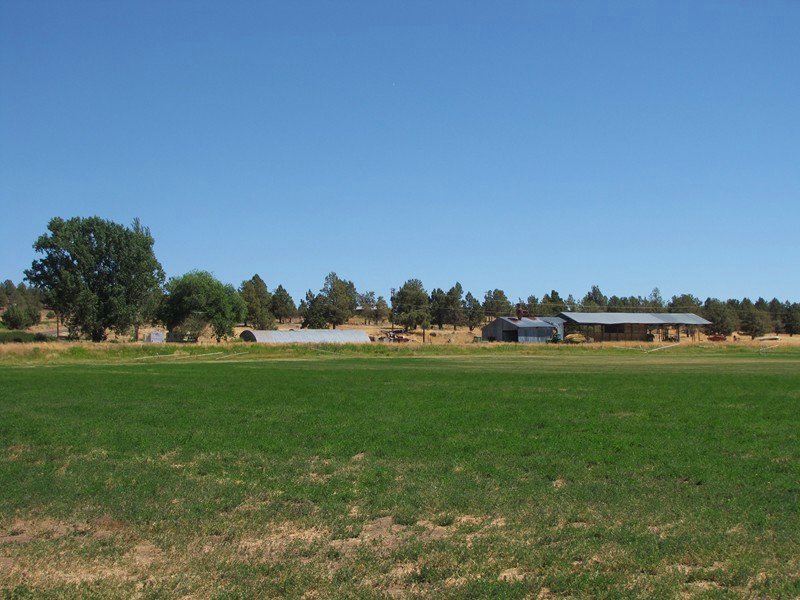 Alfalfa Farm : Bonanza : Klamath County : Oregon