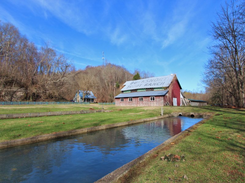 Bucksnort Trout Farm, Farm for Sale in Tennessee, #103796 : FARMFLIP