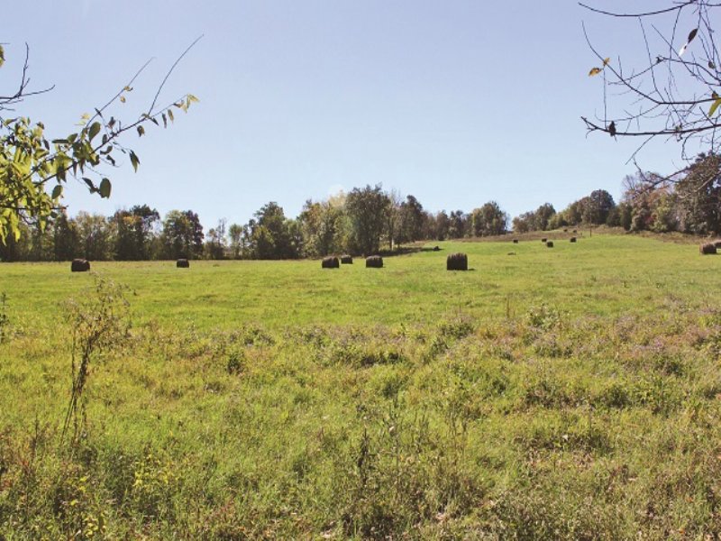 Versatile Kentucky Farm : Franklin : Simpson County : Kentucky