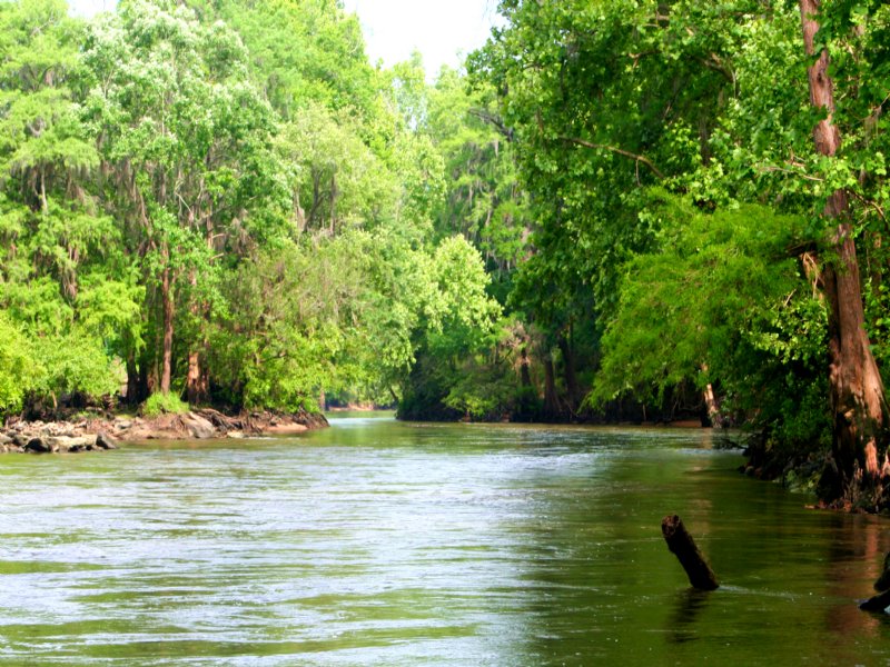 Flint Rock Plantation : Albany : Dougherty County : Georgia