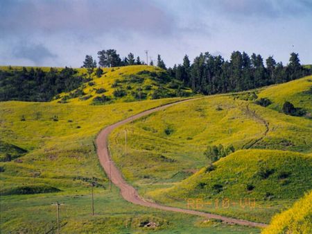 Borders 10,000 Acres Public Land : Winnett : Petroleum County : Montana