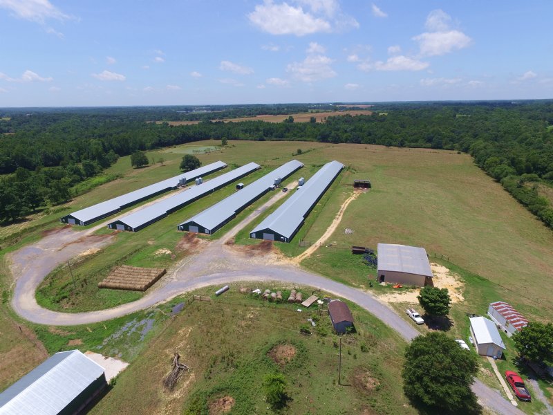 poultry farm for sale in nc