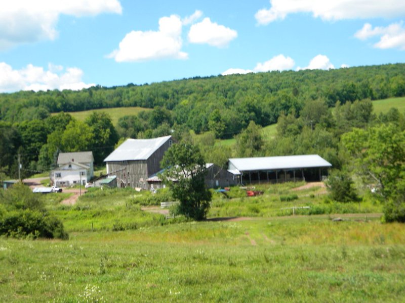 175 Acres Former Dairy Farm Pasture, Farm for Sale in New York, 112215