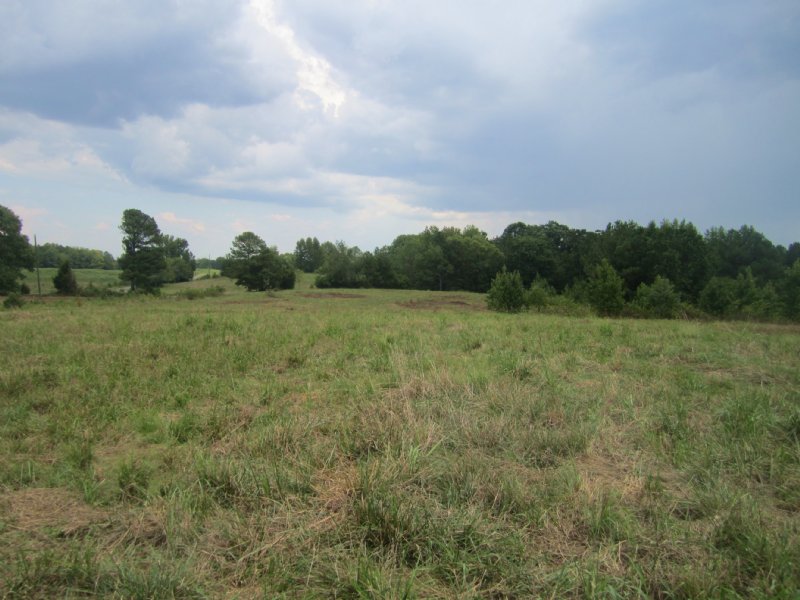 40 Acres Of Pasture Land, Farm for Sale in Alabama, #113257 : FARMFLIP