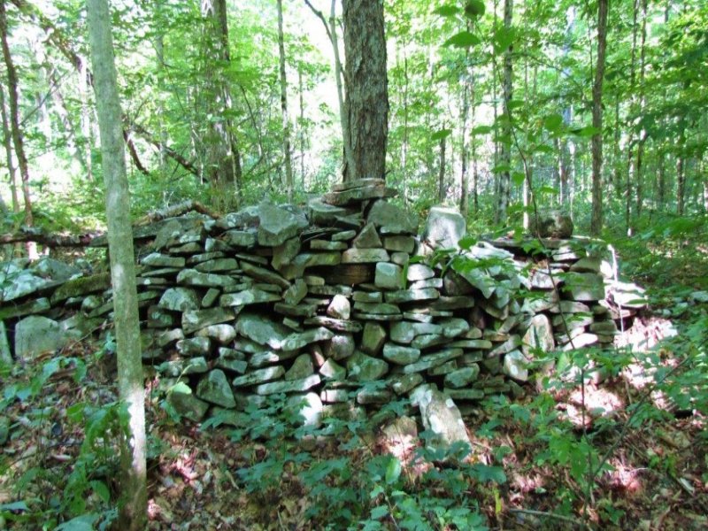 100 Acres Timberland Borders Forest, Farm for Sale in New York, #113634 ...