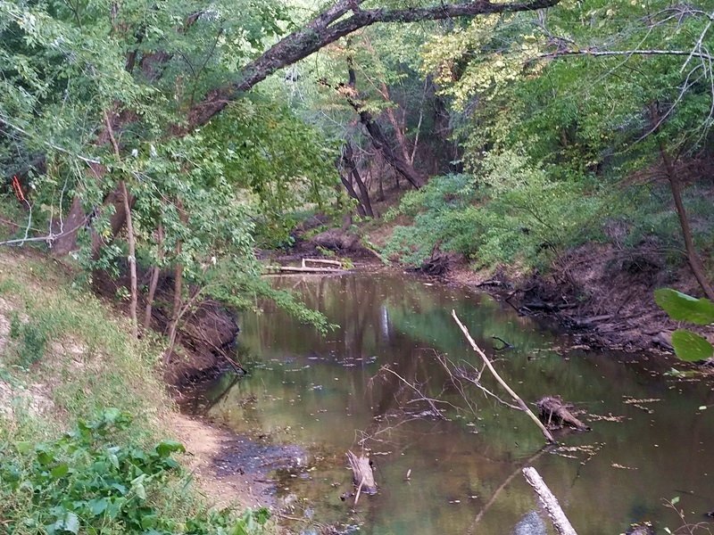 Cedar Hollow Tract 9 : Moyers : Pushmataha County : Oklahoma