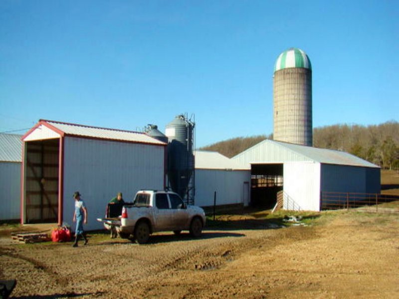 Cadillac Dairy Farm On 428 Ac : Falcon : Laclede County : Missouri