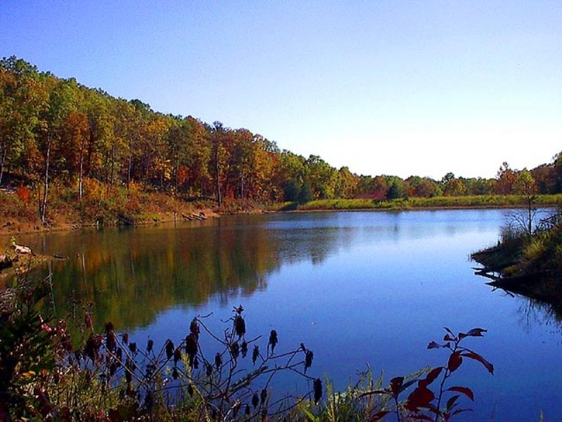 60 Acre Property with A Lake : Piedmont : Wayne County : Missouri