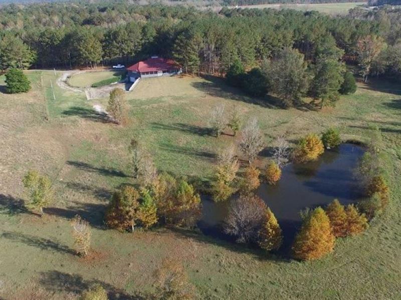 Hwy 231 Farm & Hunting Tract, Farm for Sale in Alabama, #118203 : FARMFLIP