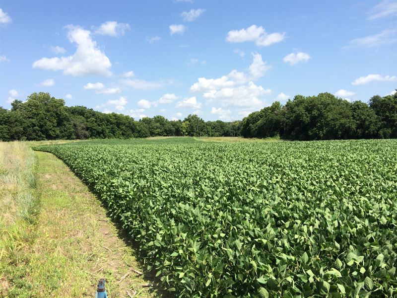 Shaps Ranch : Lane : Franklin County : Kansas