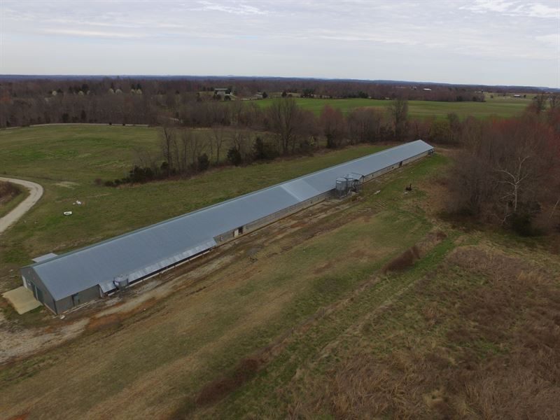 31 Acre Farm in Barren County, Ky : Cave City : Barren County : Kentucky