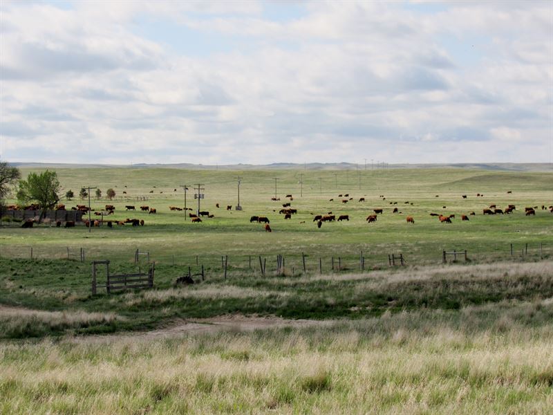 Nebraska Sioux County Pasture, Farm for Sale in Nebraska, #122643 ...