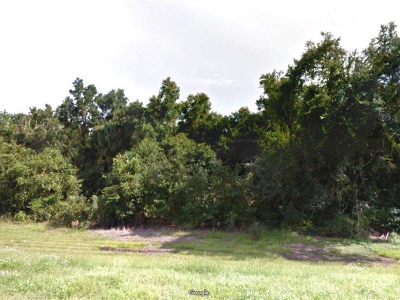 Sumter County Ag & Commercial : Lake Panasoffkee : Sumter County : Florida