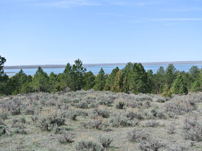 Keyhole Reservoir 40 : Pine Haven : Crook County : Wyoming