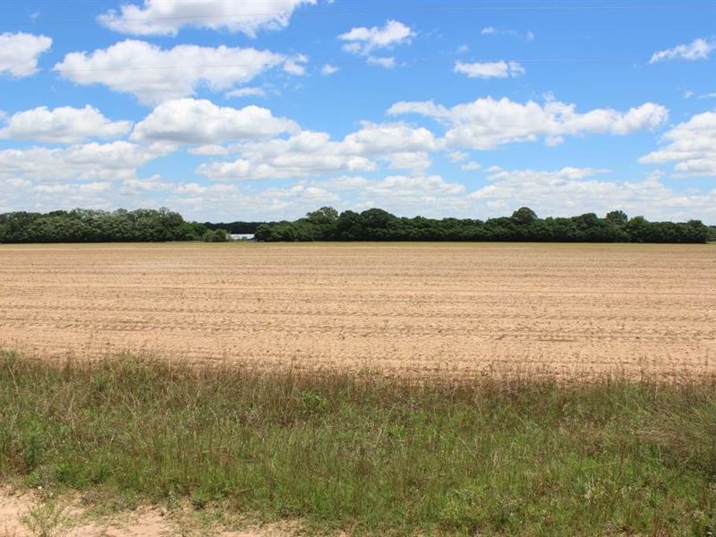 144 Acres Of Beautiful Farm Land : Oglethorpe : Macon County : Georgia