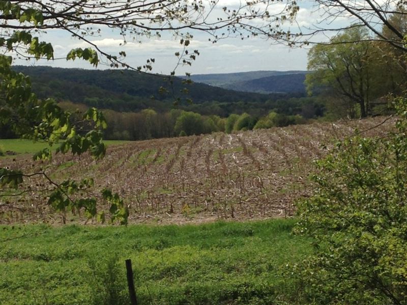 100 Acres Farmland Near Norwich Ny : Guilford : Chenango County : New York