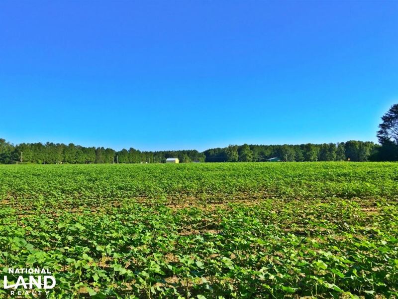 Little River Dixie Landing Farm : Little River : Baldwin County : Alabama