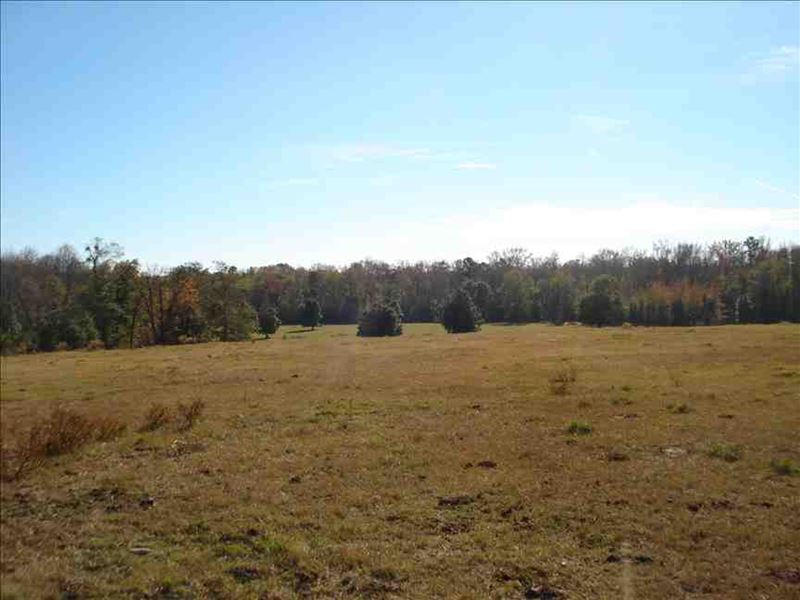 Land for Sale 75 Acres of Ran : Keysville : Burke County : Georgia