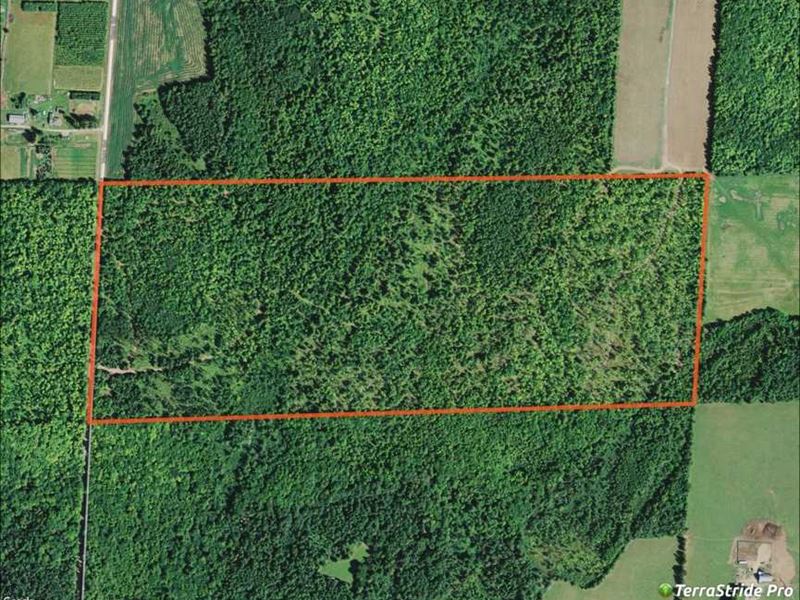 homes for sale on land contract in montcalm county mi