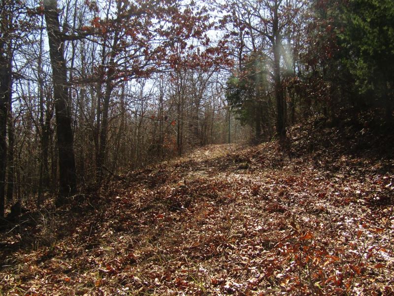 Secluded Building Rolling Hill Trac : Hugo : Choctaw County : Oklahoma