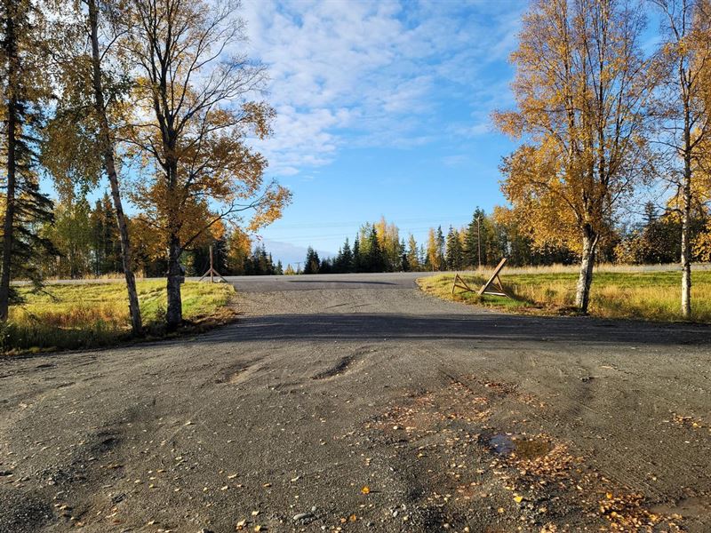 5.28 Commercial Acres with Gravel : Kenai : Kenai Peninsula Borough : Alaska