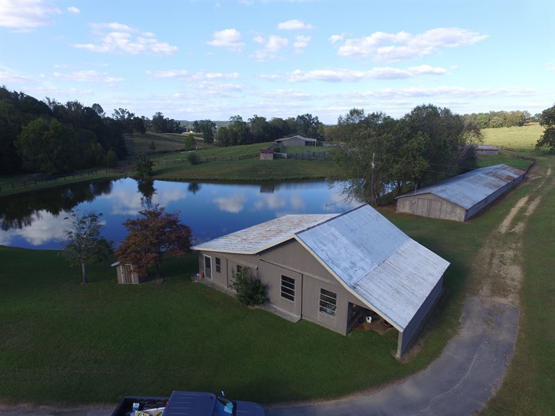 Peaceful 83+/ Acres Home & Ponds, Farm for Sale in Alabama, 137252