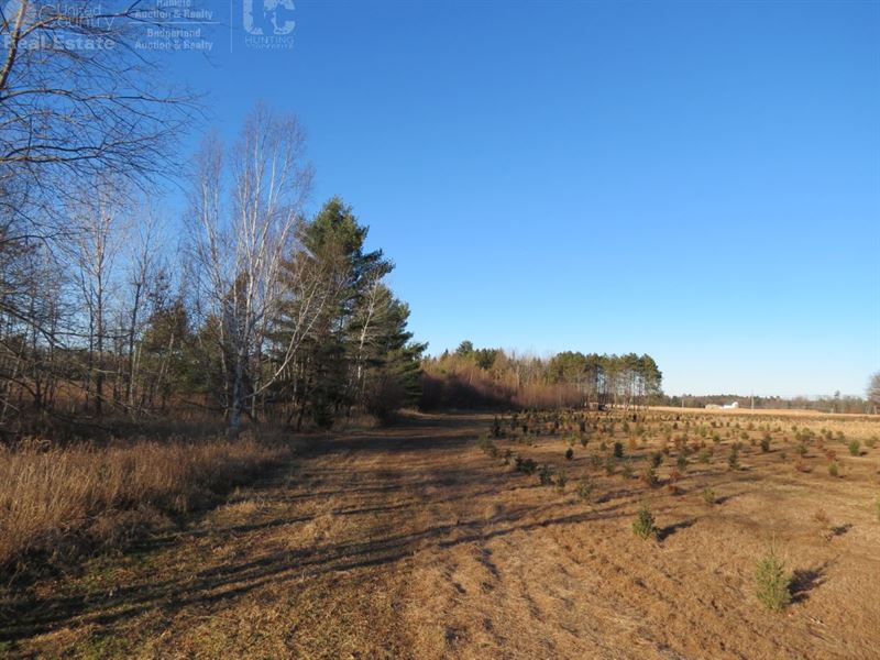 Professionally Developed Hunting, Farm for Sale in Wisconsin, 139096