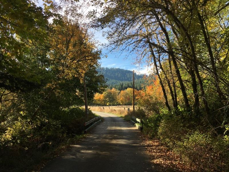 Garlic Farm Farm For Sale In Glendale Douglas County Oregon