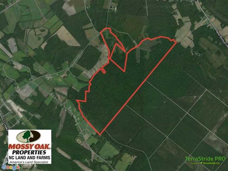 Hunting Land for Sale in Columbus, Farm for Sale in North Carolina ...