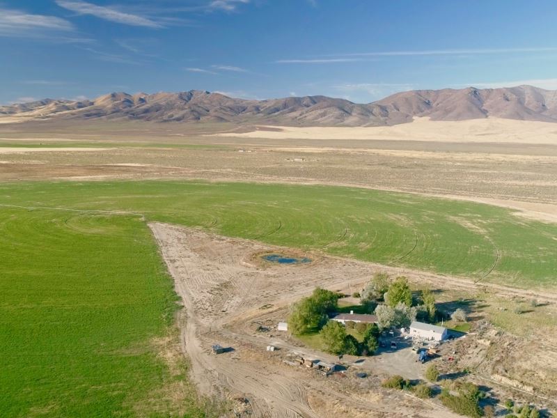 491 Acre Alfalfa Hay Farm for Sale : Winnemucca : Pershing County : Nevada