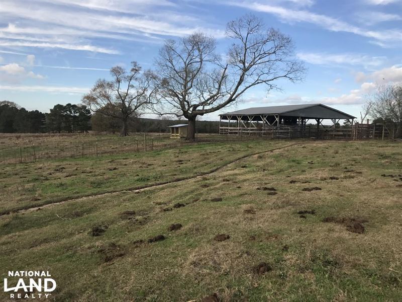 Rolling Hills Cattle Farm Farm for Sale in Bassfield, Jefferson Davis County, Mississippi