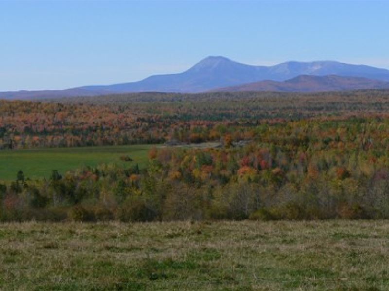 40 Acres in Caribou, ME : Caribou : Aroostook County : Maine