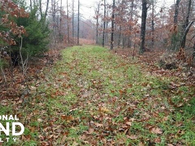 Ozark Mountain Land For Sale By Owner / Picturesque Ozark Mountain Property Landcentral : The land is just off a paved county road with power and water available.