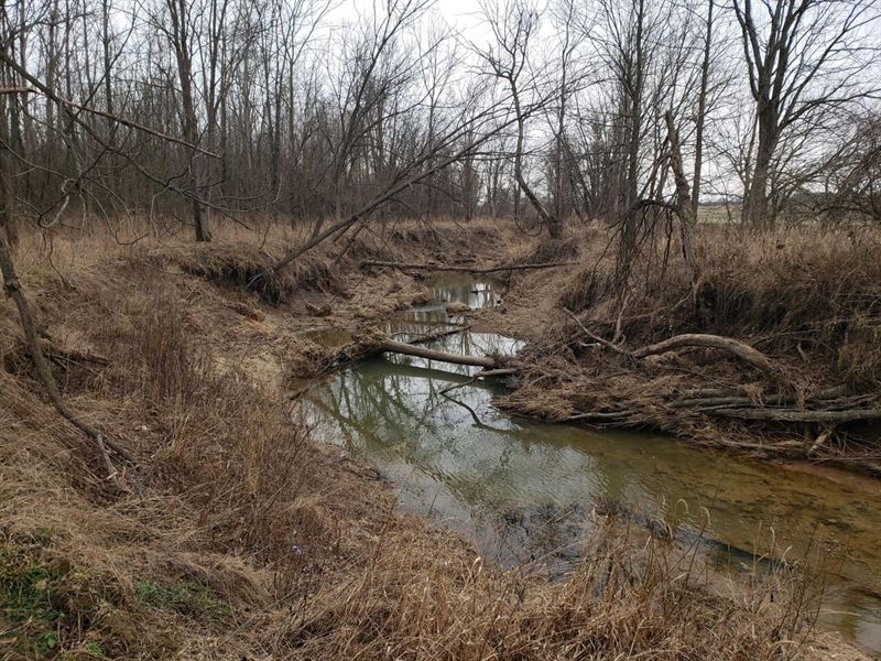 Big Slough 43 : Cory : Clay County : Indiana