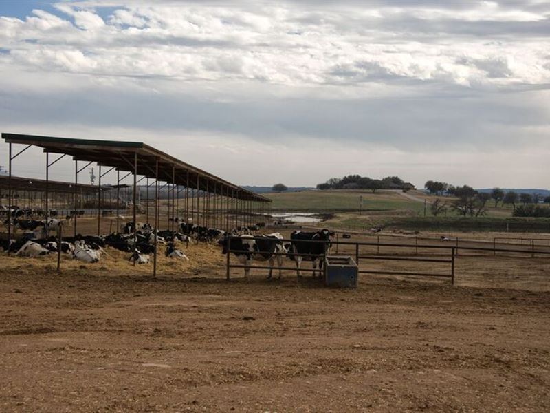 Dairy Farm, Income Producing Lease : Dublin : Erath County : Texas