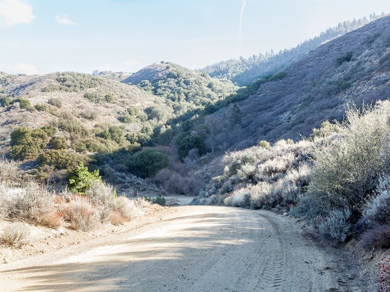 Remote Tehachapi Mountain Land : Tehachapi : Kern County : California