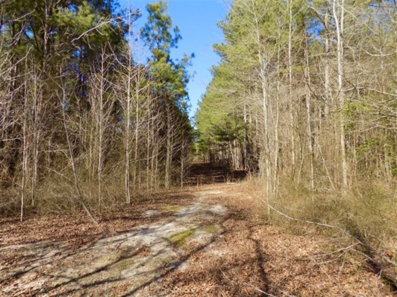 Wooded Acreage with Creek, Farm for Sale in South Carolina, #144520 ...