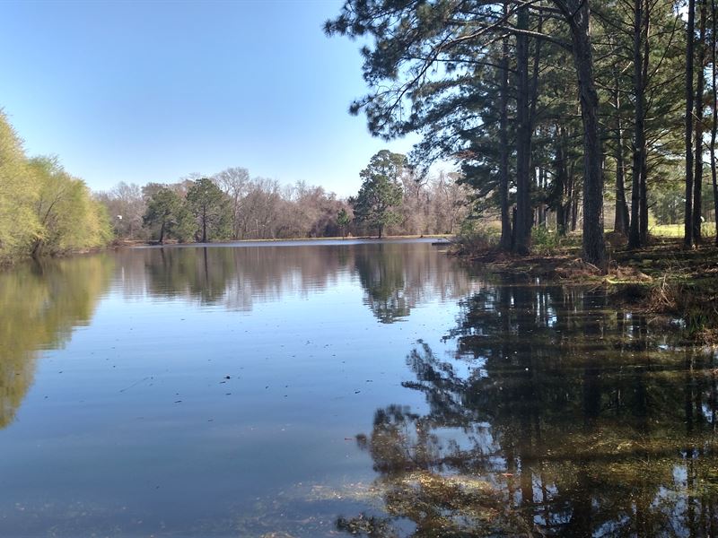 Country Home With Pond And 42 Acres Farm for Sale in Sycamore, Turner