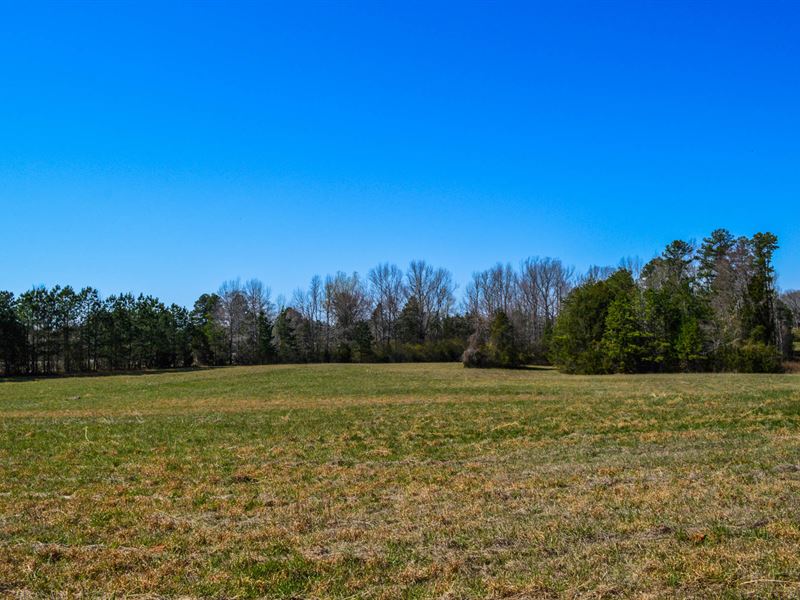 Beautiful 37.5 Acre Farm Jonesville : Farm for Sale in Jonesville ...