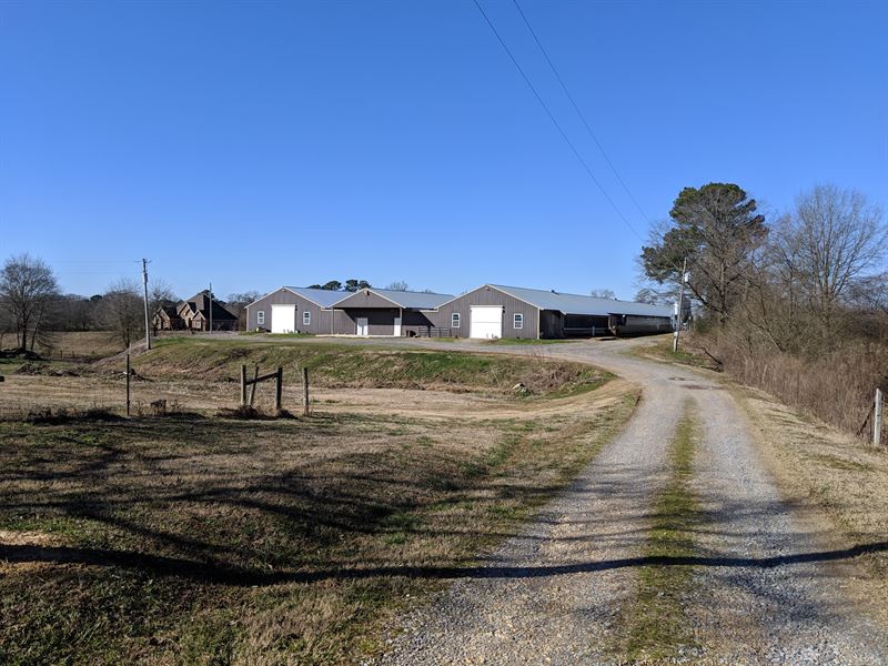 Circle B Farm : Farm For Sale In Holly Pond, Cullman County, Alabama ...