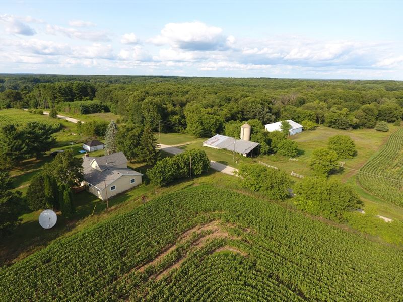 Central Wi Farm Living 168+/- Acres, Farm for Sale in Wisconsin ...