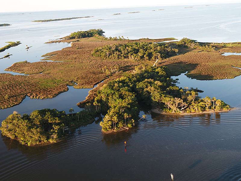 Chambers Island in Yankeetown : Yankeetown : Levy County : Florida