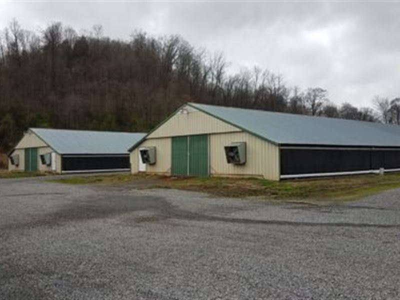 Poultry Farm in North Tennessee : Rogersville : Hawkins County : Tennessee