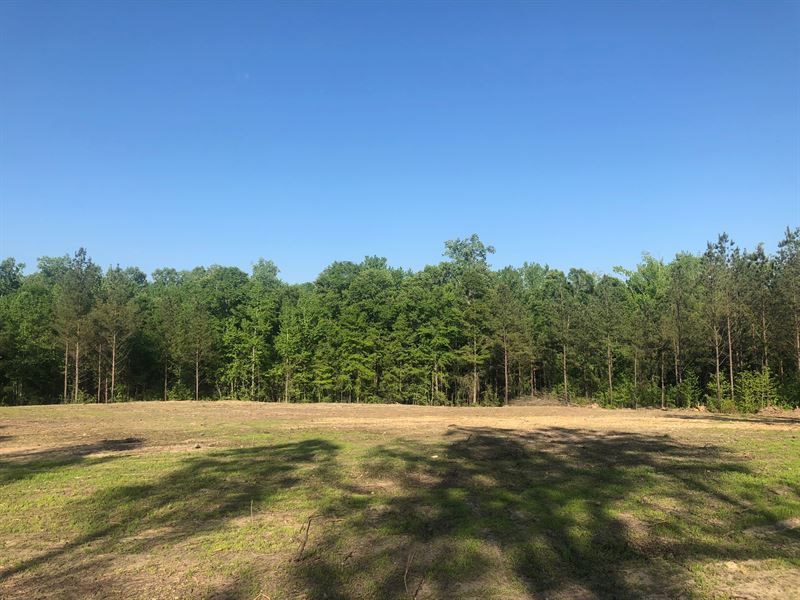 Beautiful MiniFarm Near Auburn, Farm for Sale in Alabama, 148166